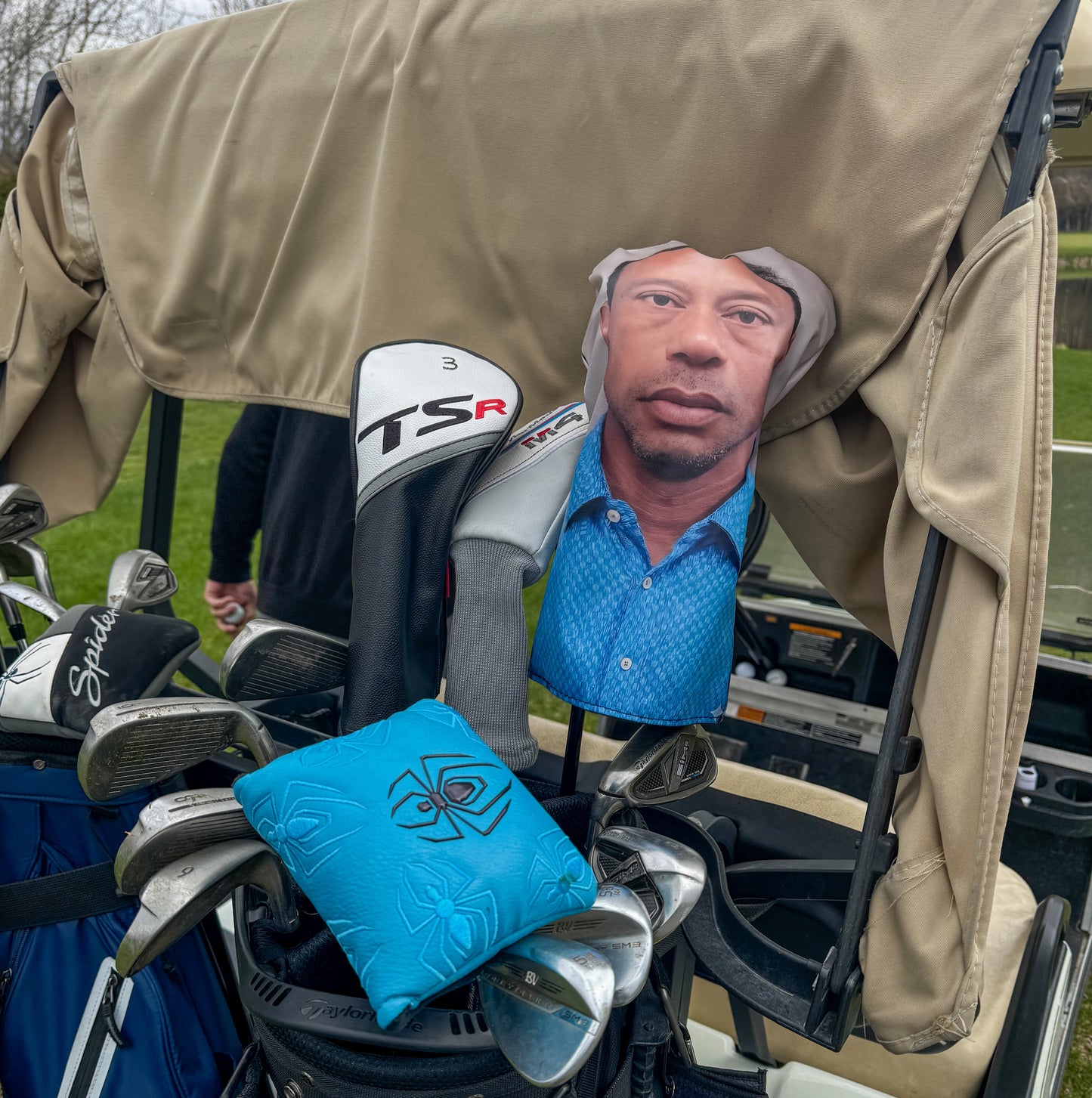 Mugshot Head Cover